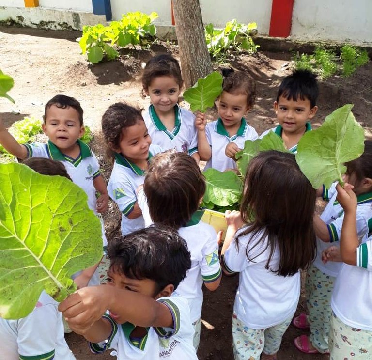 Projeto da UFPB estimula crianças a consumir verduras e hortaliças em Bananeiras