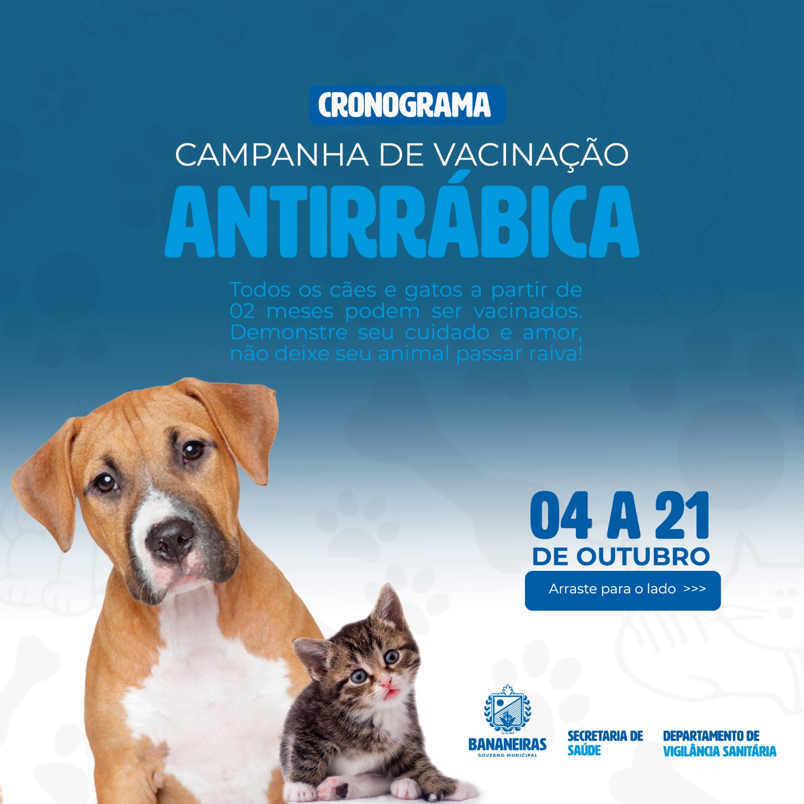 Prefeitura de Bananeiras inicia campanha de vacinação para cães e gatos