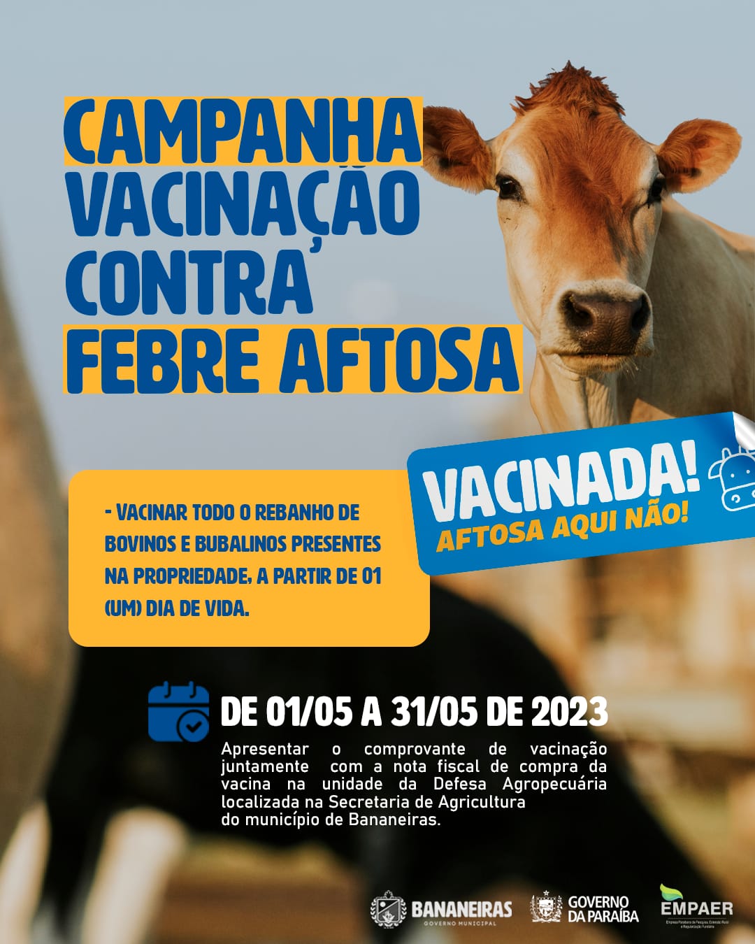 Iniciada a primeira etapa de vacinação contra a Febre Aftosa no município de Bananeiras